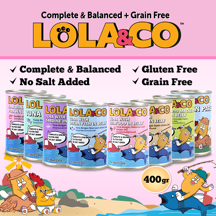 LOLA & CO CANNED FOOD CAT